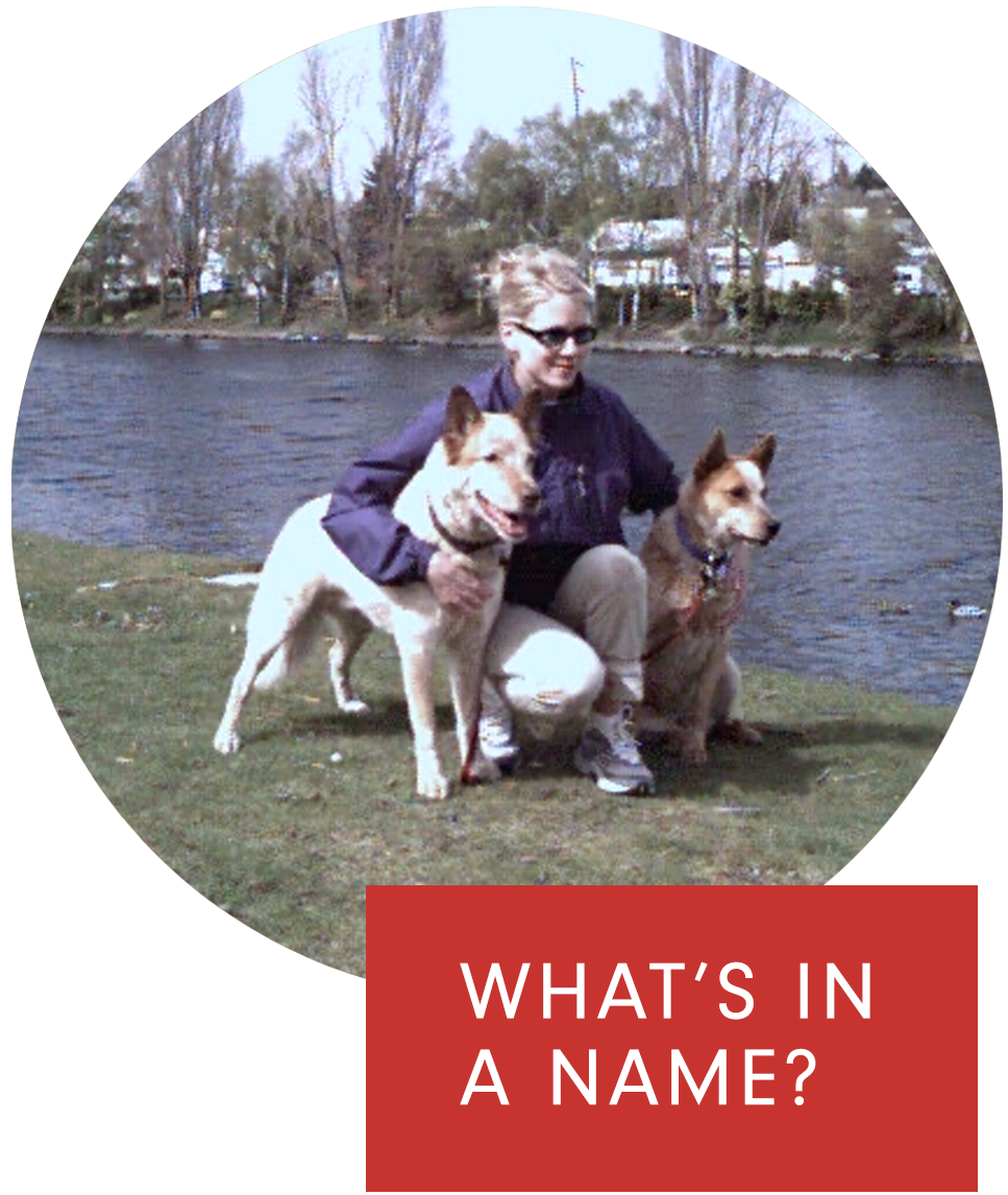 What's in a name? over picture of Marleen with dogs