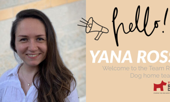 yana ross welcome post